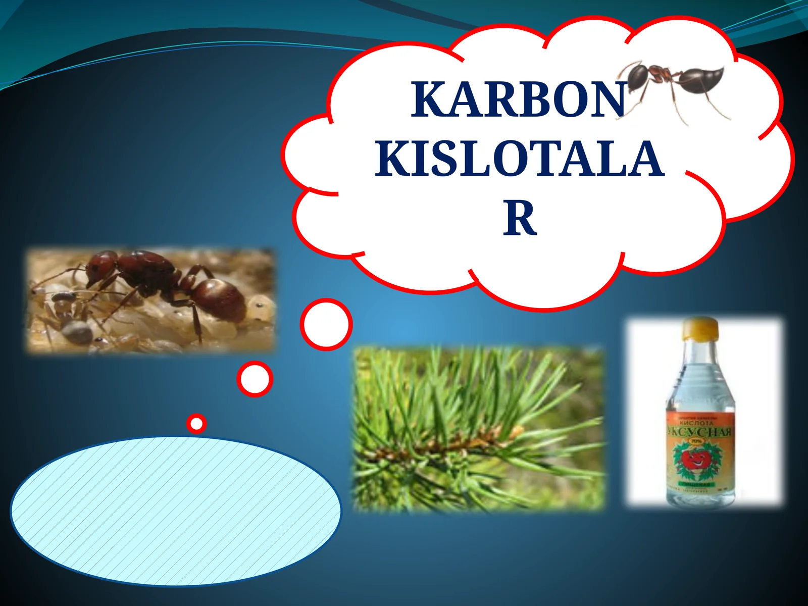 KARBON KISLOTALAR 1