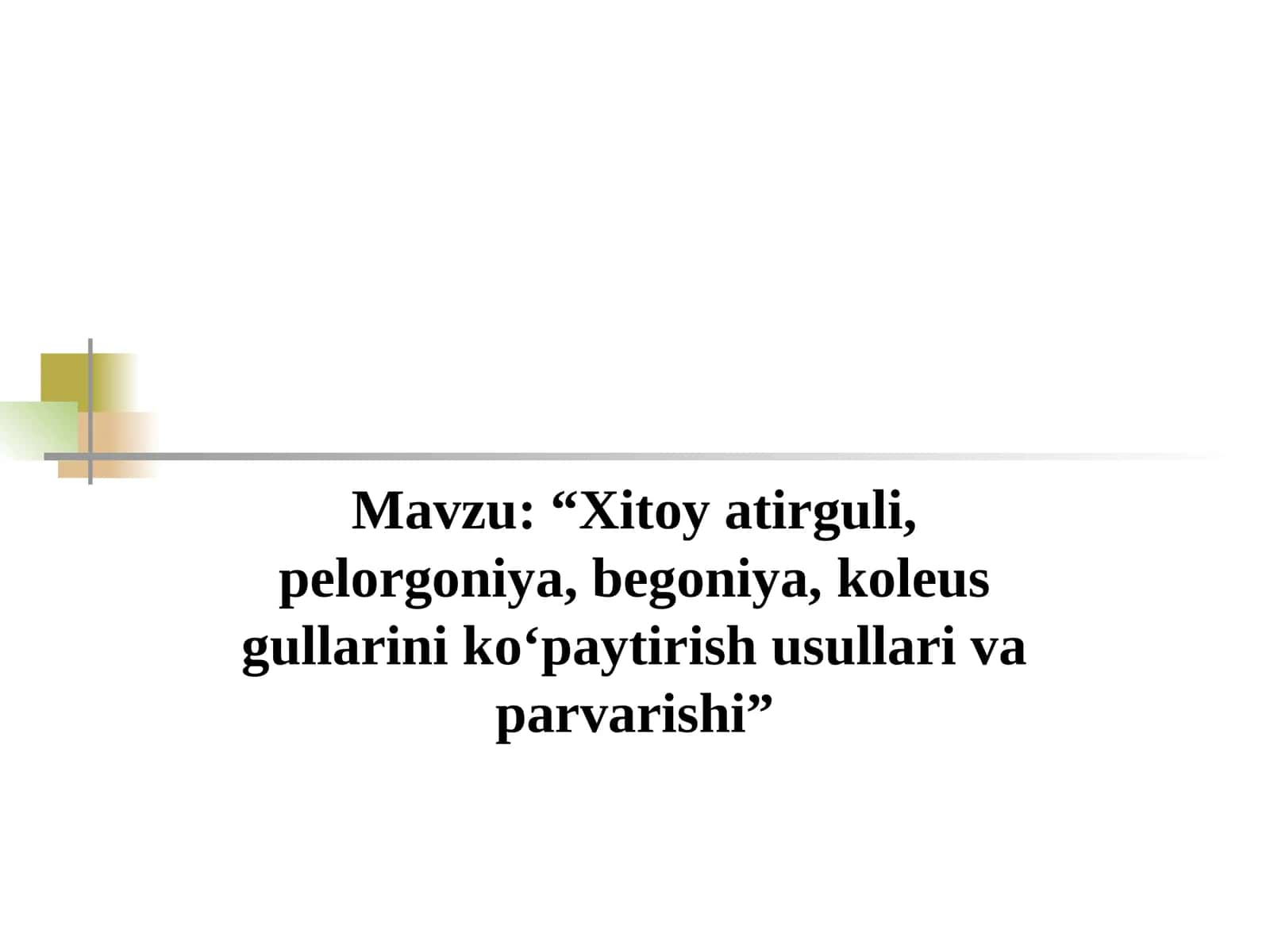 Xitoy atirguli, pelorgoniya, begoniya, koleus gullarini koʻpaytirish usullari va parvarishi 1