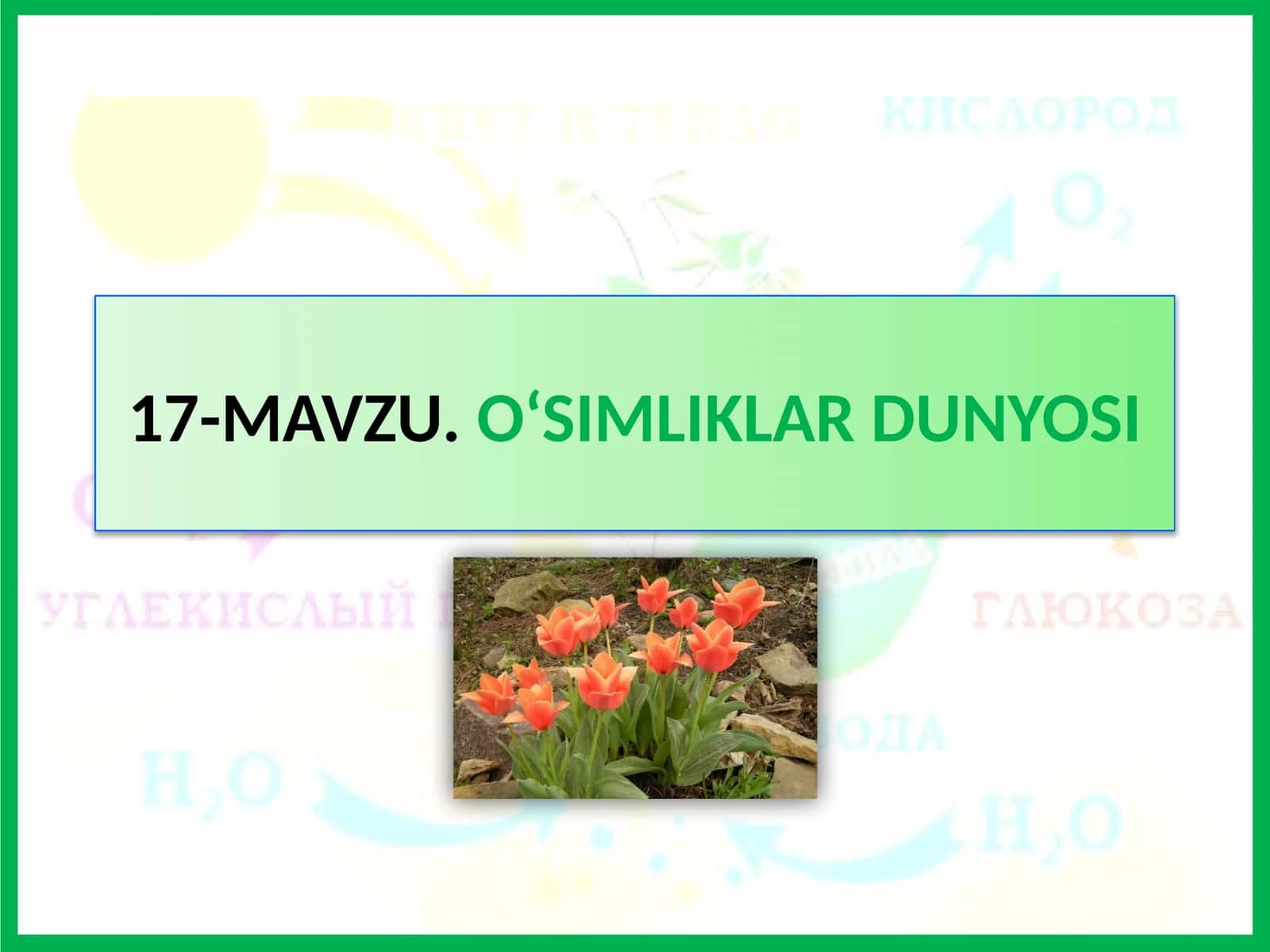 MAVZU.O‘SIMLIKLAR DUNYOSI 1