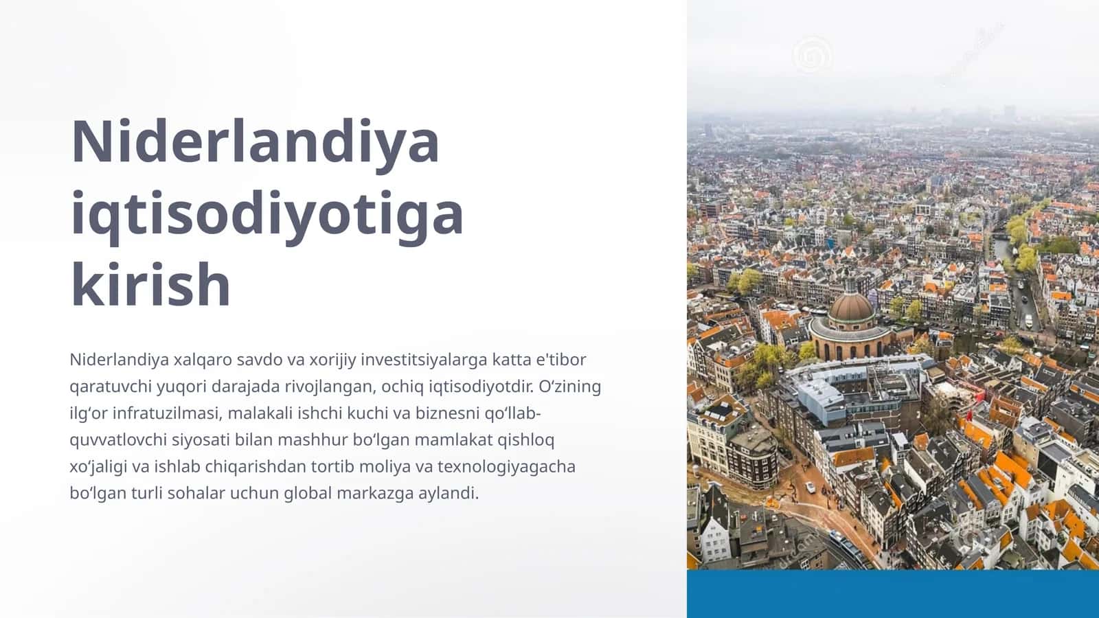 Niderlandiya iqtisodiyotiga kirish 1