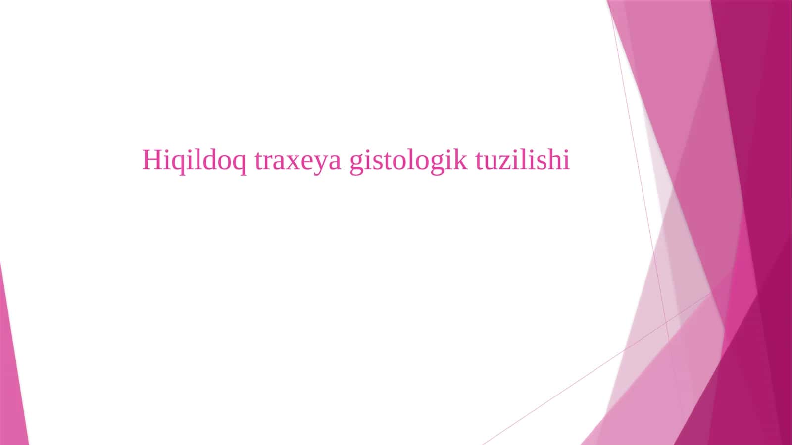 Hiqildoq traxeya gistologik tuzilishi 1