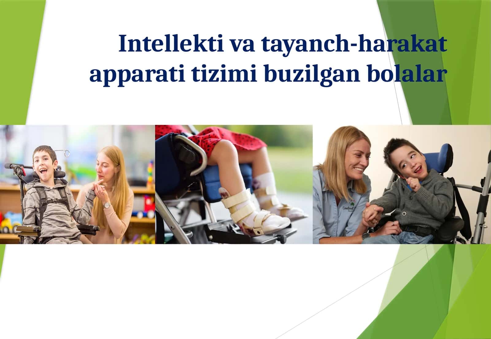 Intellektiva tayanch-harakat apparati tizimi buzilgan bolalar 1