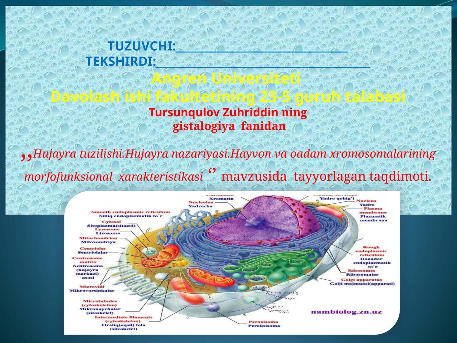 Hujayratuzilishi, Hujayranazariyasi, O’simlikhujayrasi, Hayvonvaodamxromosomalariningmorfofunksionalxarakteristikasi 1