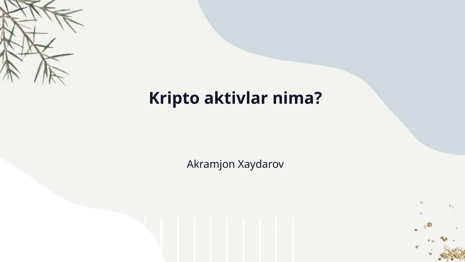 Kripto aktivlar nima? 1