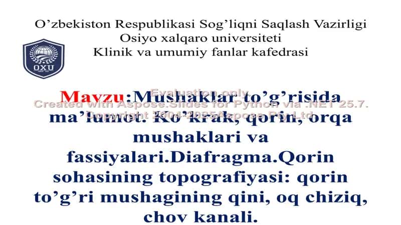Mushaklar to’g’risida ma’lumot. Ko’krak, qorin, orqa mushaklari va fassiyalari.Diafragma.Qorin sohasining topografiyasi: qorin to’g’ri mushagining qini, oq chiziq, chov kanali. 1