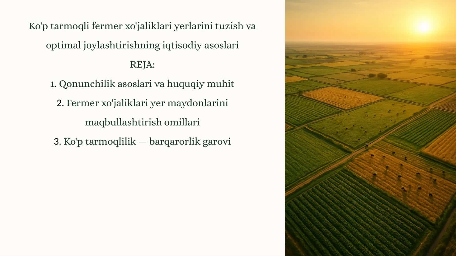 Ko'p tarmoqli fermer xo'jaliklari yerlarini tuzish va optimal joylashtirishning iqtisodiy asoslari 1