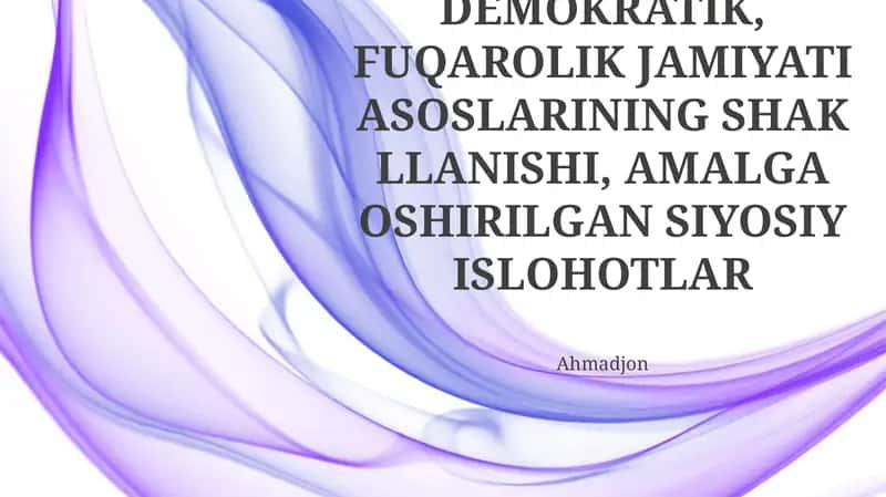 Oʻzbekistonda Demokratik, Fuqarolik Jamiyati Asoslarining Shakllanishi, Amalga Oshirilgan Siyosiy Islohotlar 1