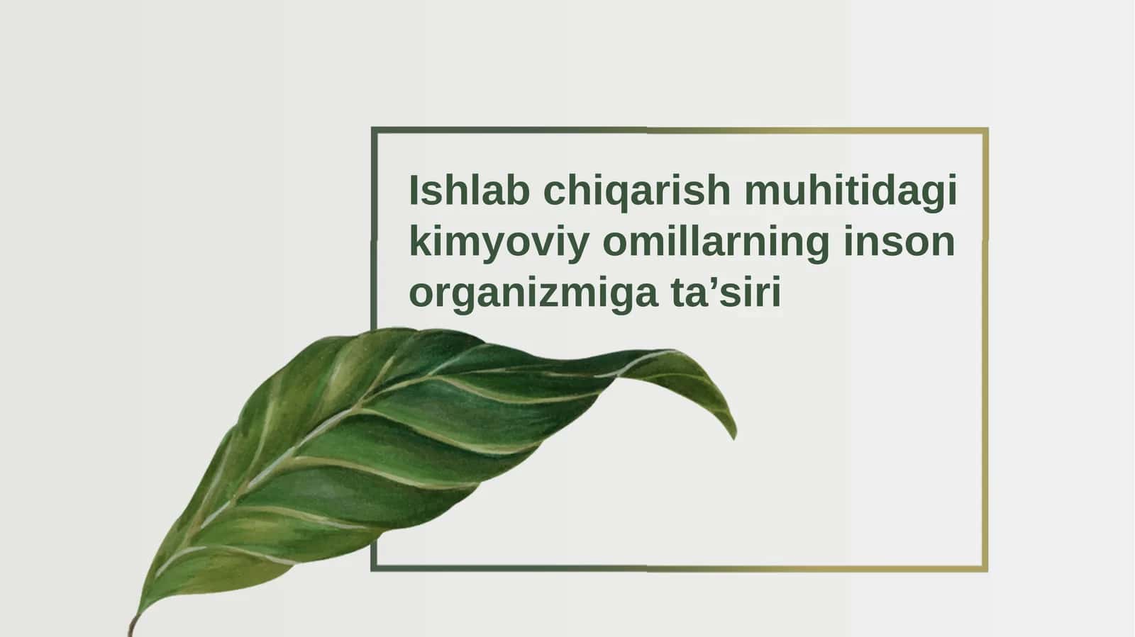 Kimyoviy omillarning inson organizmiga ta’siri 1