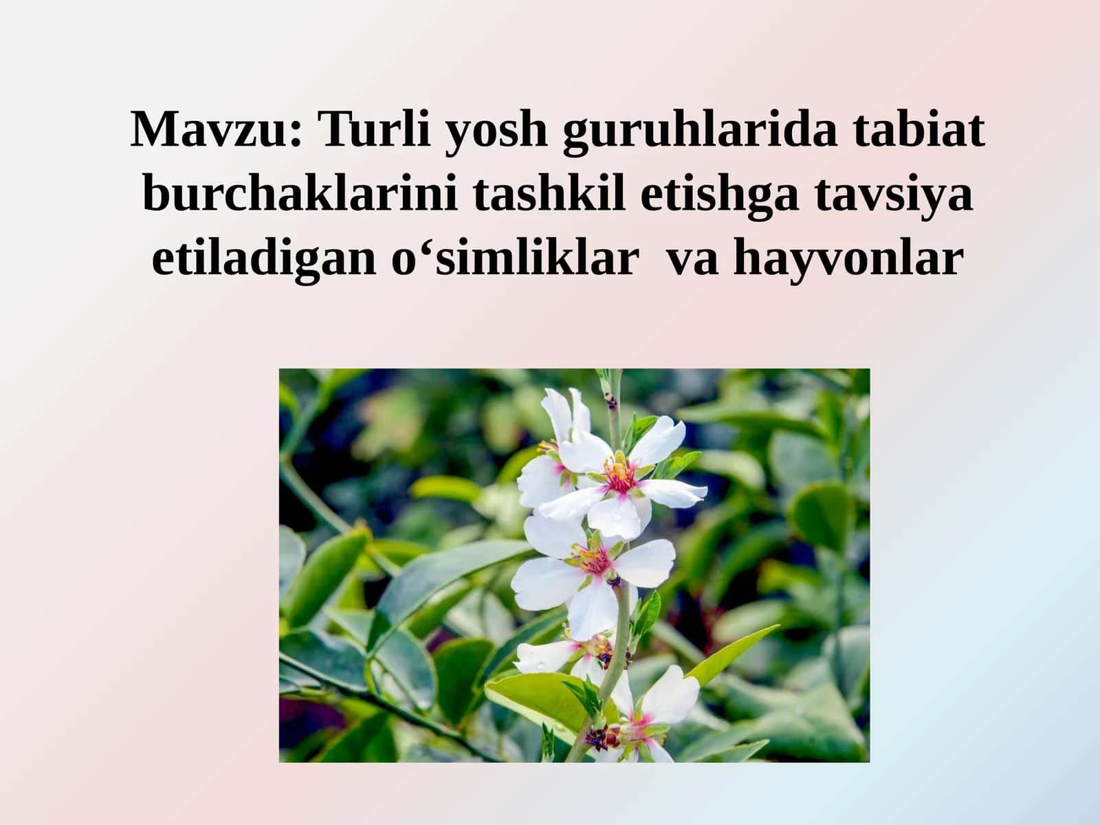 Turli yosh guruhlarida tabiat burchaklarini tashkil etishga tavsiya etiladigan o‘simliklar va hayvonlar 1