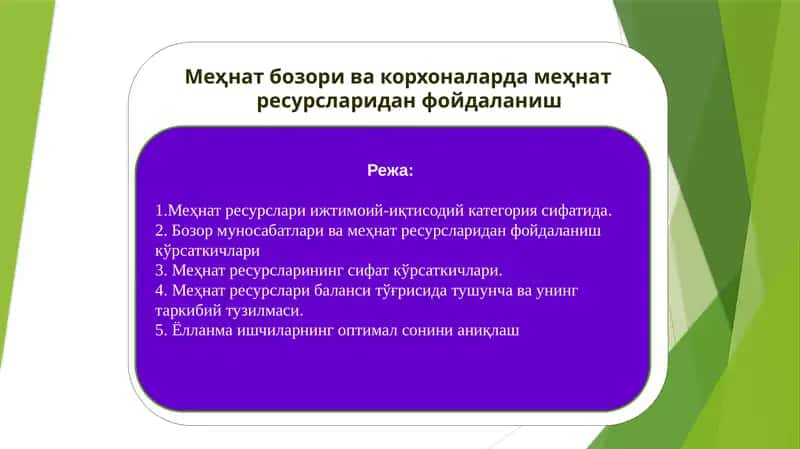 Меҳнат бозори ва корхоналарда меҳнат ресурсларидан фойдаланиш 1