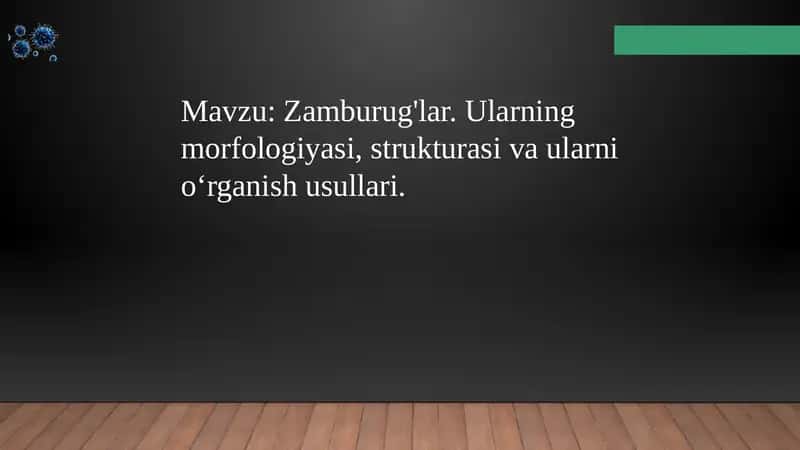 Zamburug'lar. Ularning morfologiyasi, strukturasi va ularni oʻrganish usullari. 1