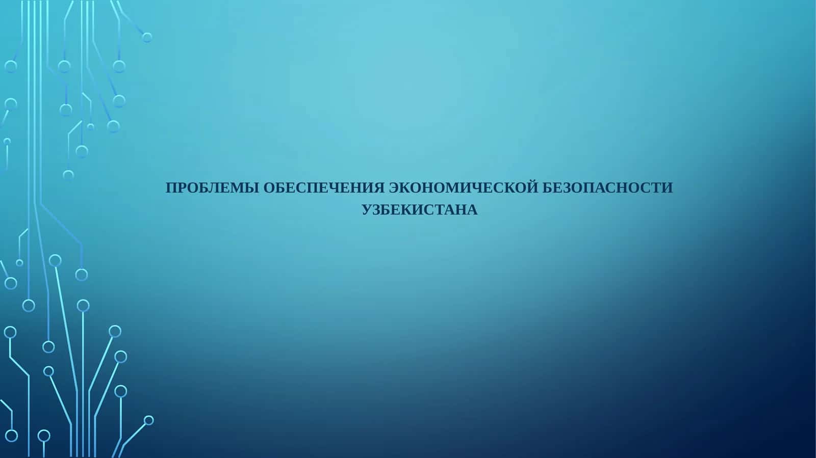 Проблемы обеспечения экономической безопасности Узбекистана 1