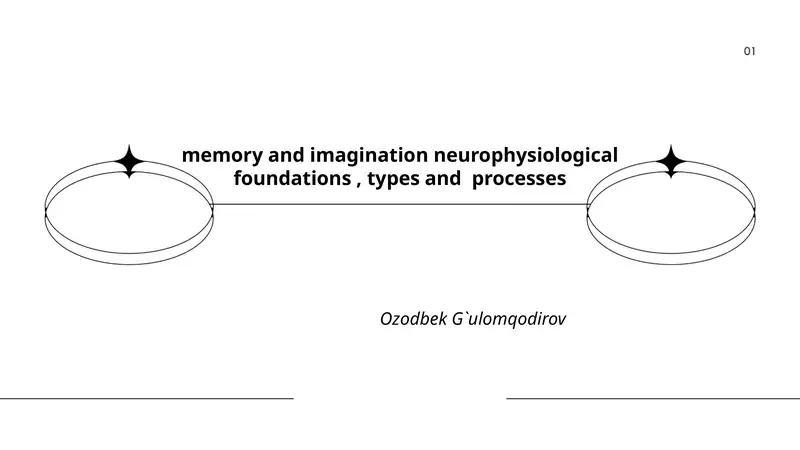 memory and imagination neurophysiological foundations, types and processes 1