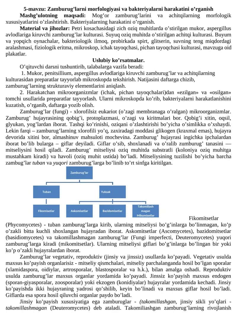 Zamburug’larni morfologiyasi va bakteriyalarni harakatini o’rganish 1