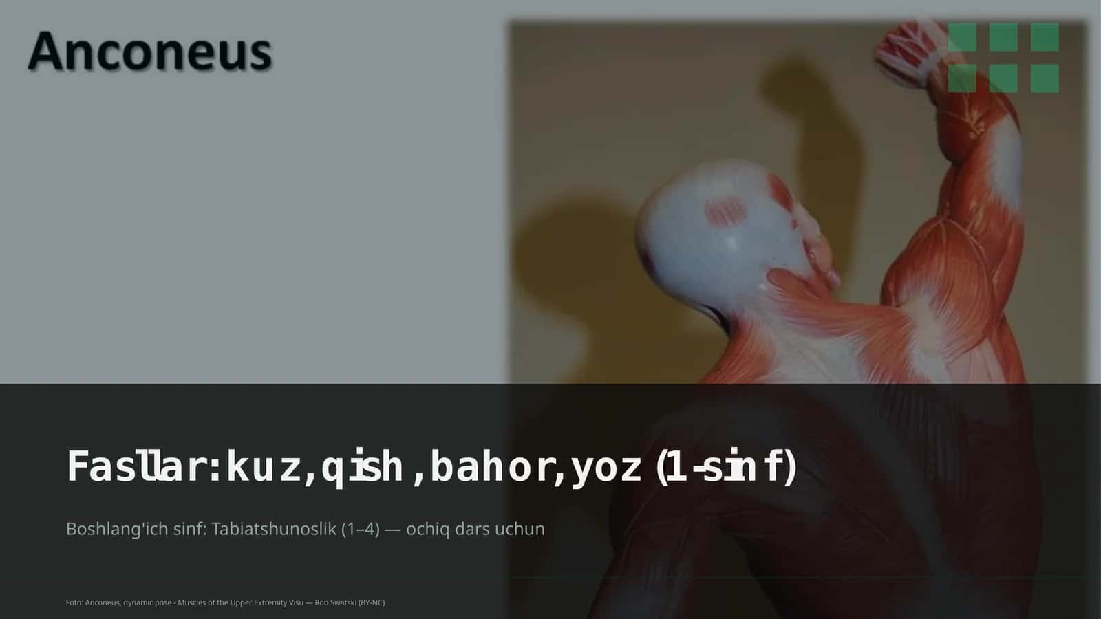 Tabiatshunoslik Dars Rejasi 1