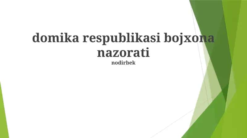 Dominika Respublikasining Bojxona Nazorati Tizimi 1