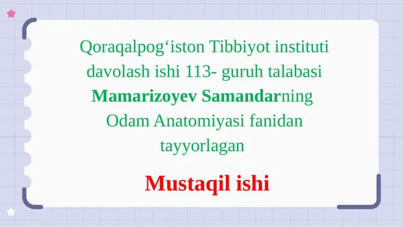 Odam Anatomiyasi 1