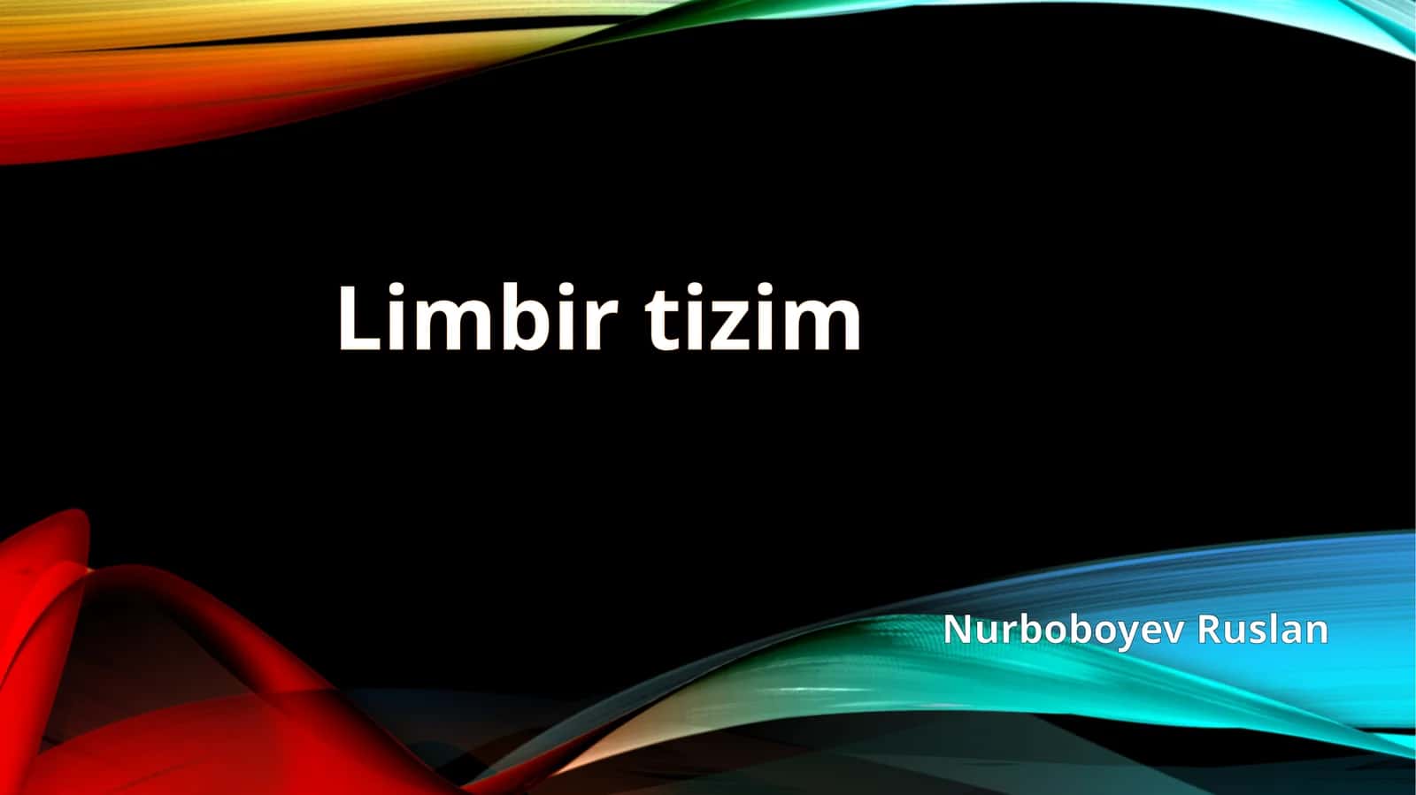 Limbiktizim 1