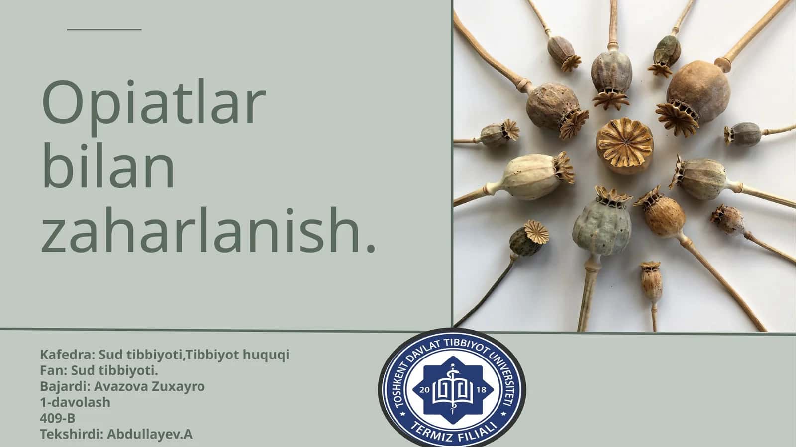 Opiatlar bilan zaharlanish 1