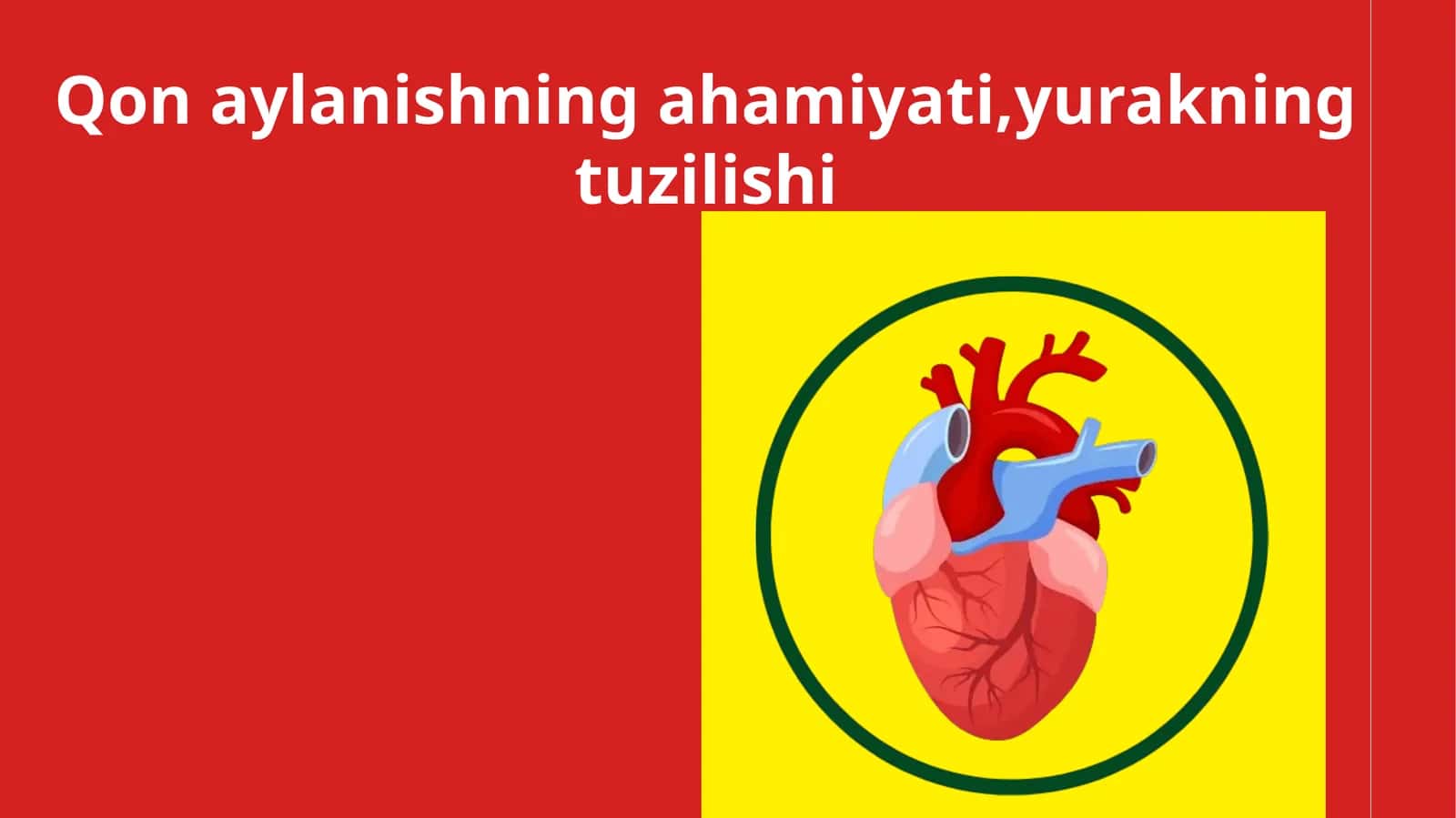 Qon aylanishning ahamiyati, yurakning tuzilishi 1