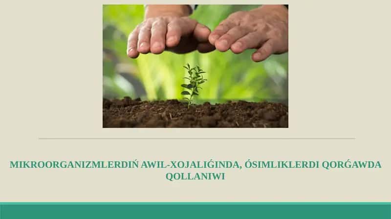 Mikroorganizmlerdıń awıl-xojalıǵında, ósimliklerdi qorǵawda qollanıwı. 1