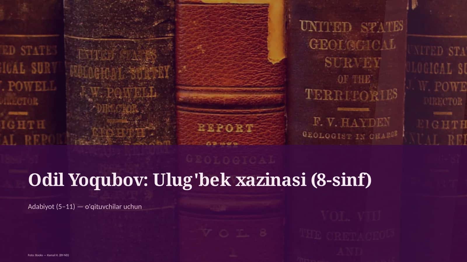 Ulug'bek xazinasi (8-sinf) 1