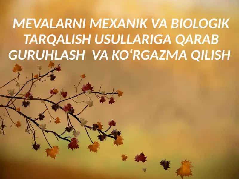 MEVALARNI MEXANIK VA BIOLOGIK TARQALISH USULLARIGA QARAB GURUHLASH VA KO‘RGAZMA QILISH 1