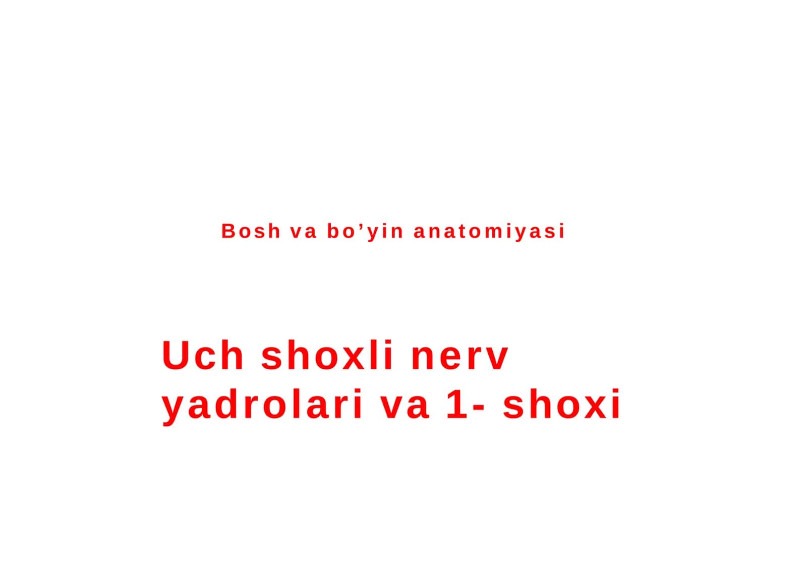 Uch shoxli nerv yadrolari va 1- shoxi, N. ophtalmicus 1