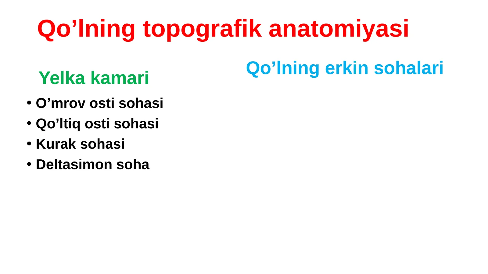 Yelka kamari 1