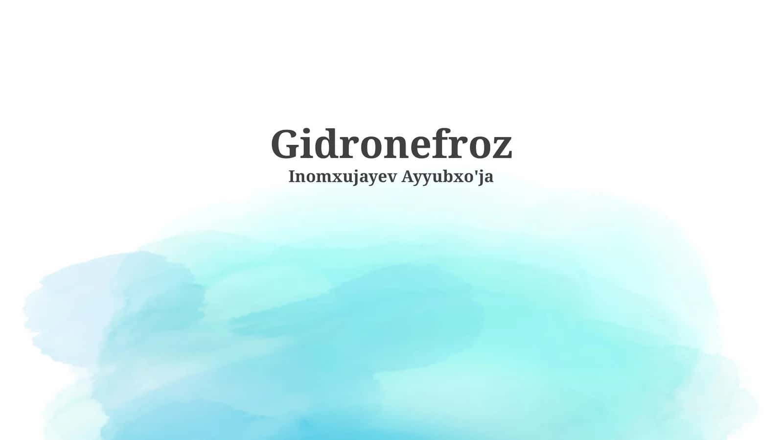 Gidronefroz 1