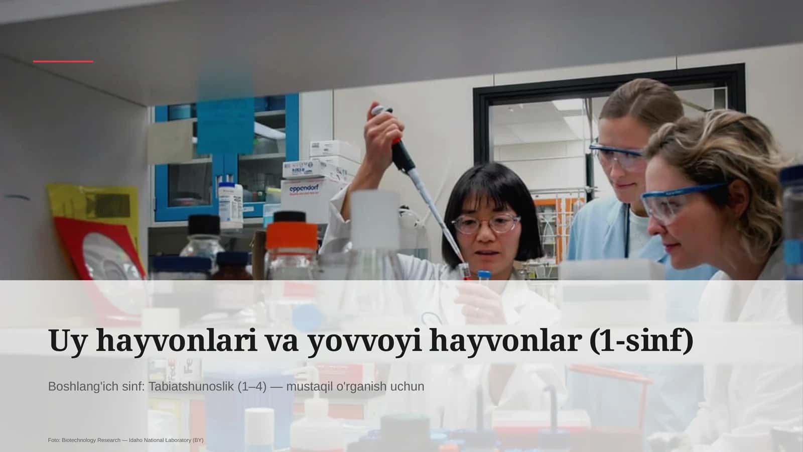 Uy hayvonlari va yovvoyi hayvonlar (1-sinf) 1