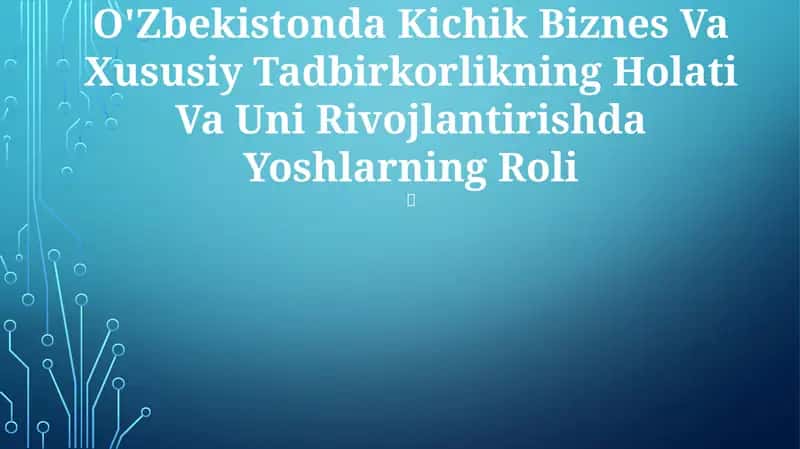 O'Zbekistonda Kichik Biznes Va Xususiy Tadbirkorlikning Holati Va Uni Rivojlantirishda Yoshlarning Roli 1
