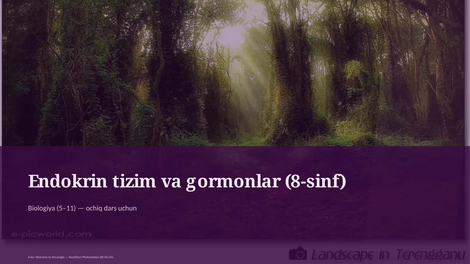 Endokrin tizim va gormonlar (8-sinf) 1