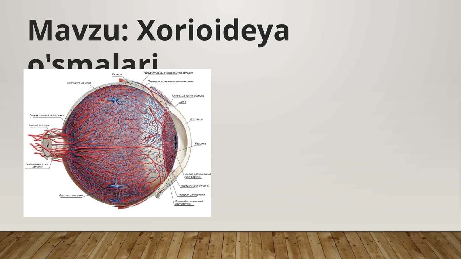 Xorioideyao'smalari 1