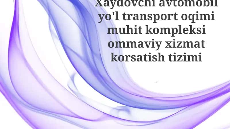 Xaydovchi avtomobil yo'l transport oqimi muhit kompleksi ommaviy xizmat korsatish tizimi 1