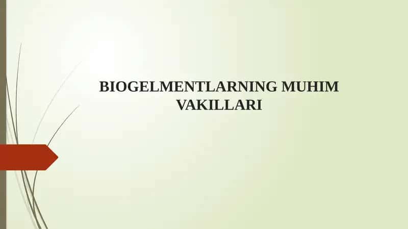 BIOGELMENTLARNING MUHIM VAKILLARI 1