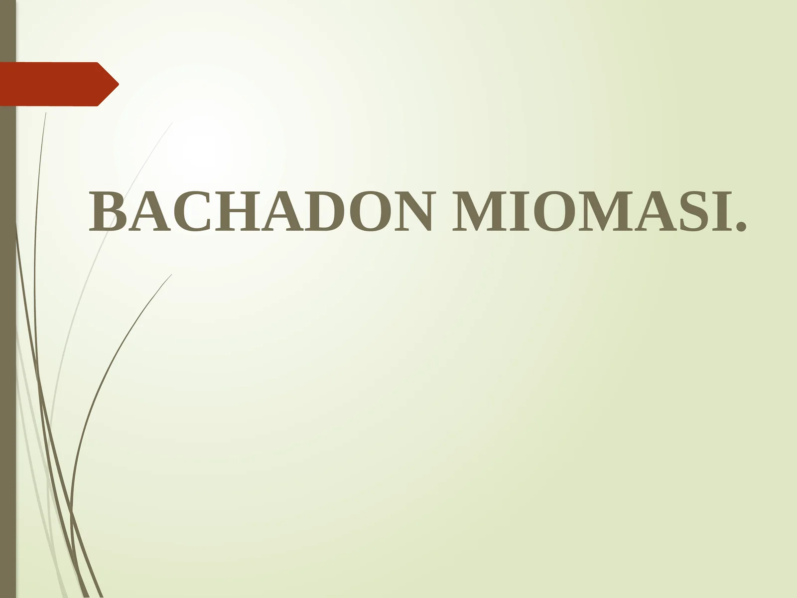BACHADON MIOMASI 1