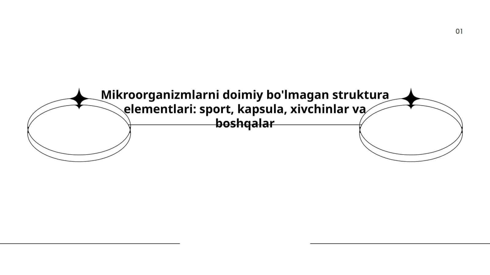 Mikroorganizmlarni doimiy bo'lmagan struktura elementlari 1