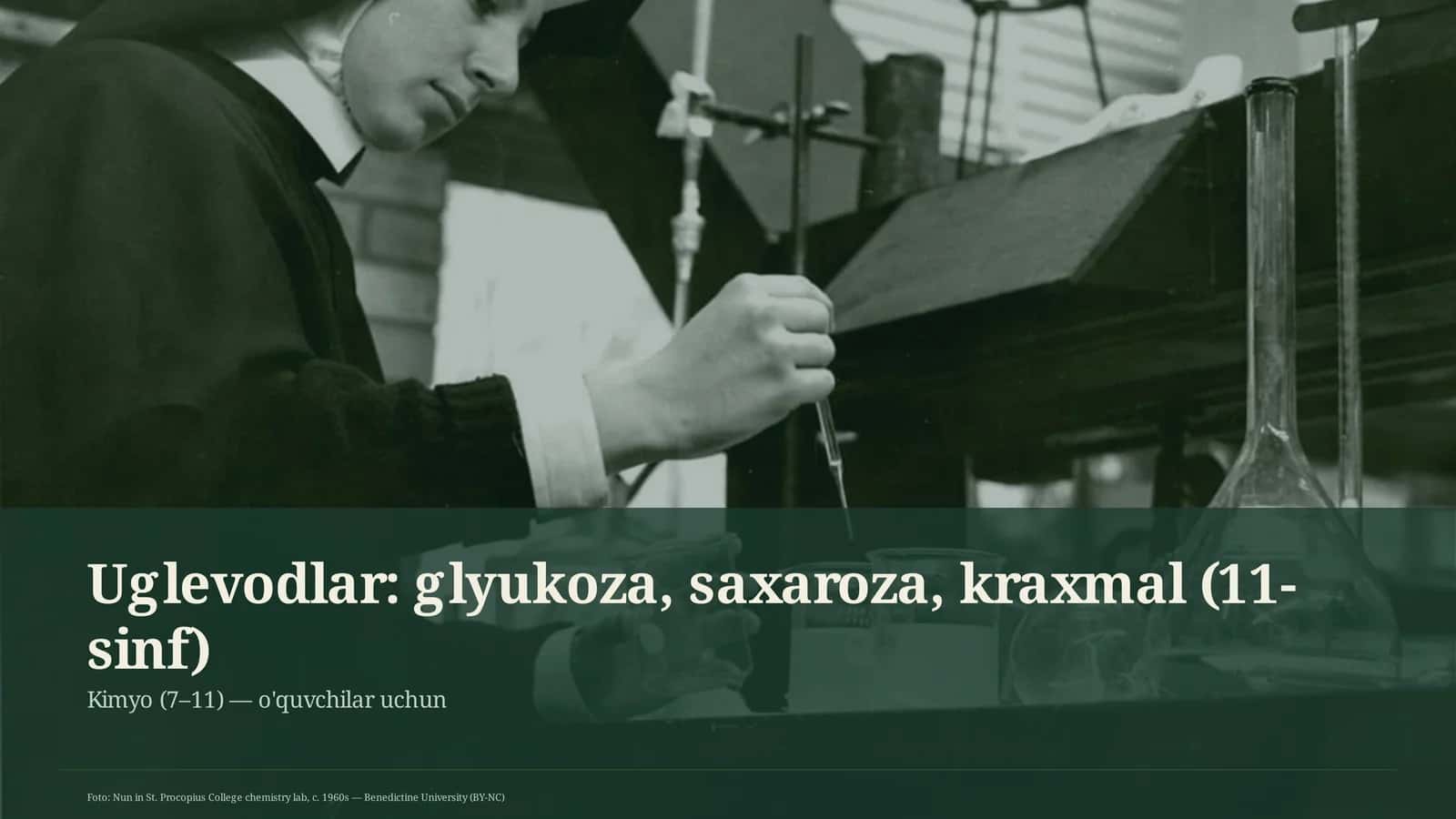 Uglevodlar: glyukoza, saxaroza, kraxmal (11-sinf) 4