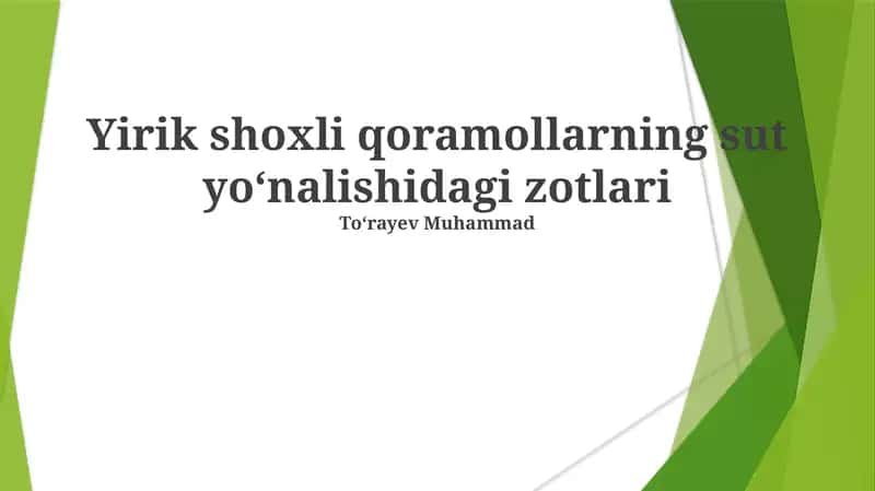 Yirik shoxli qoramollarning sut yoʻnalishidagi zotlari 1