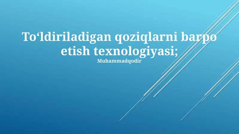 To‘ldiriladigan qoziqlarni barpo etish texnologiyasi 1