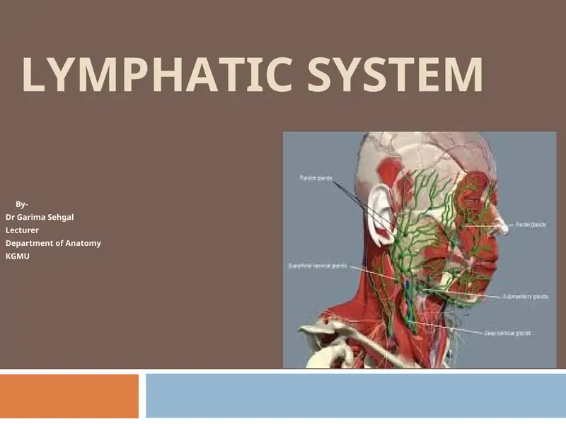 LYMPHATIC SYSTEM 1