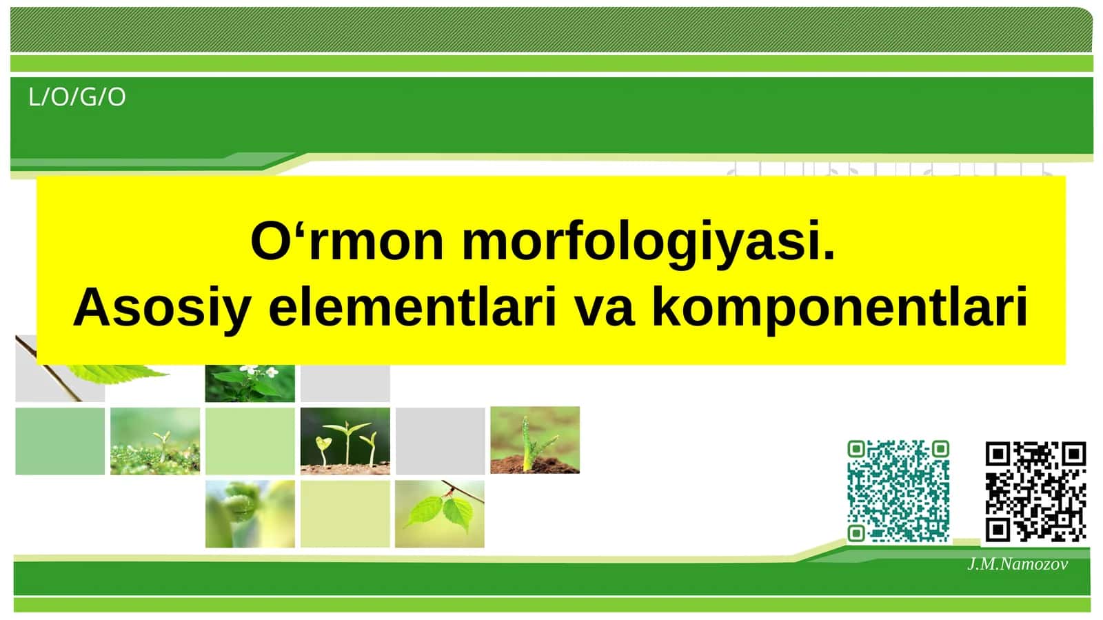 О‘rmon morfologiyasi.Asosiy elementlari va komponentlari 1