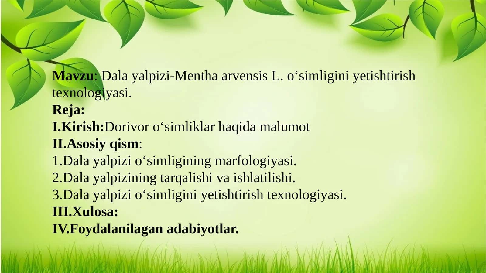 Dala yalpizi-Mentha arvensis L. oʻsimligini yetishtirish texnologiyasi 1