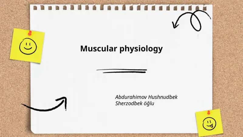 Muscular physiology 1