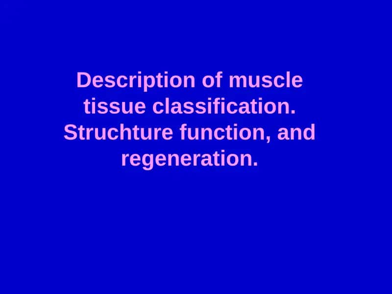 Muscular Tissue Classification 1