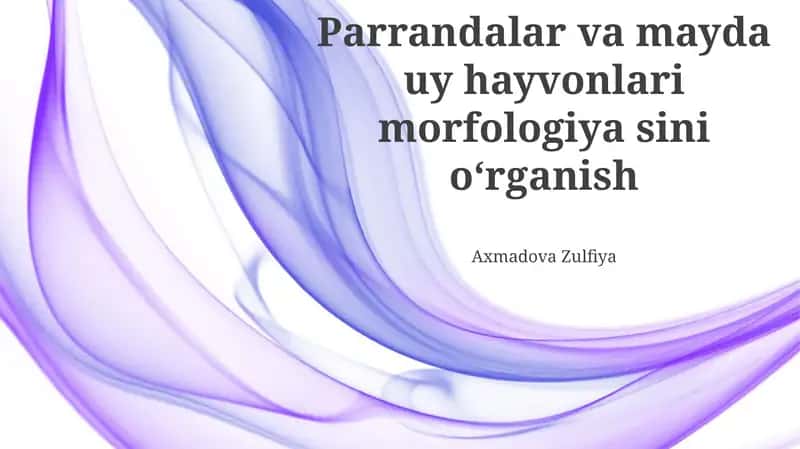 Qushlar va kichik uy hayvonlarining morfologiyasi 1
