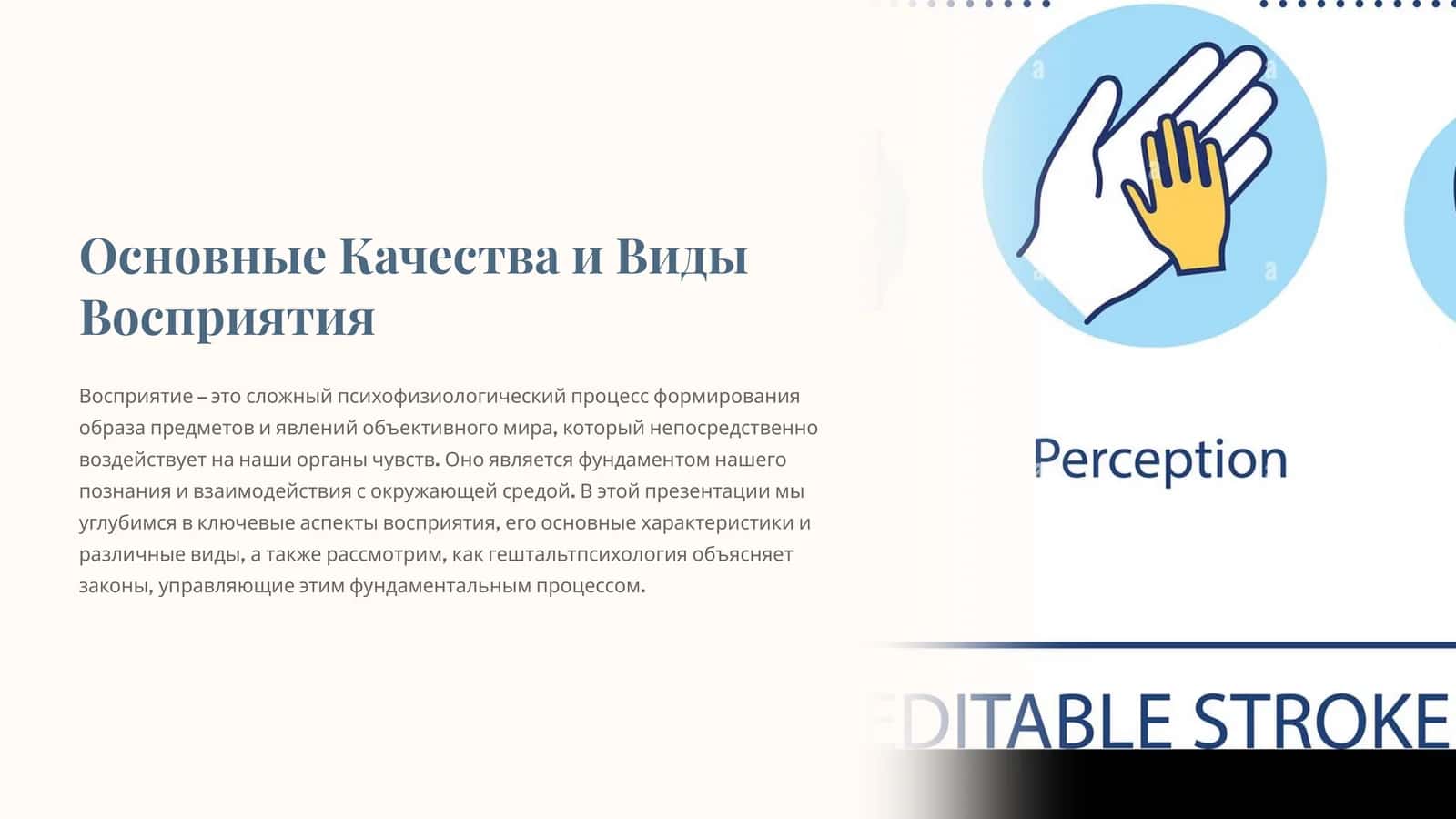 Основные Качества и Виды Восприятия 1
