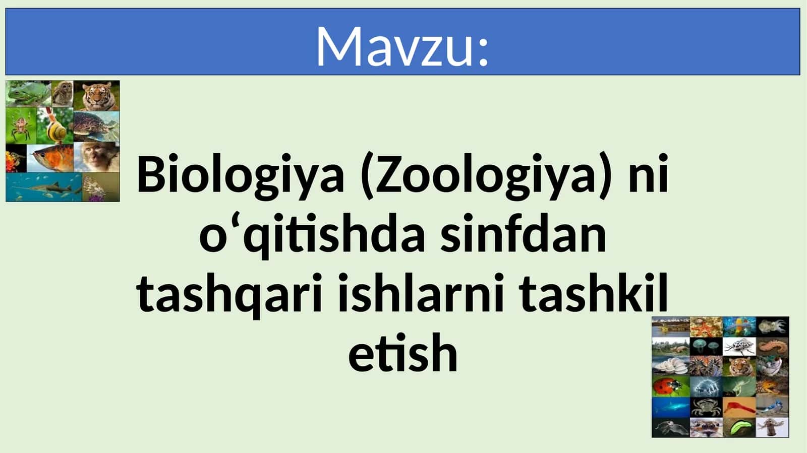 Biologiya (Zoologiya) ni oʻqitishda sinfdan tashqari ishlarni tashkil etish 1