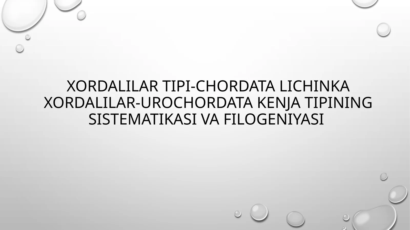 Lichinkaxordalilar (Urochordata) 1